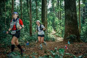 BIB: 
                            <button type="button" onclick="openModal(26133023)" class="btn btn-primary btn-sm float-right btn-popup" data-toggle="modal" data-target=".modal-high-quality">
                        <i class="fas fa-shopping-cart"></i> Add to Cart
                    </button>
                                            <button type="button" onclick="isThisMe(26133023, true)" class="btn btn-success btn-sm float-right btn-popup btn-isme hidden" data-toggle="tooltip" data-placement="bottom" title="นี่คือรูปของคุณใช่ไหม คลิกที่นี่เพื่อเอาเข้าอัลบั้ม">
                        <i class="fas fa-plus"></i> Add to album
                    </button>
                    <button type="button" onclick="isThisMe(26133023, false)" class="btn btn-warning btn-sm float-right btn-popup btn-isnotme hidden">
                        <i class="fas fa-ban"></i> Remove from album
                    </button>